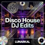 Disco House DJ Edits