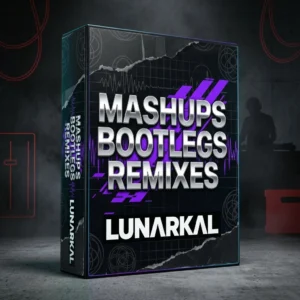 Mashups Bootlegs Remixes 3D box mockup