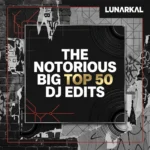 The notorious big top 50 DJ Edits